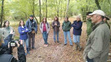 Técnicos de Río Negro analizan en Francia el manejo de los bosques frente al cambio climático