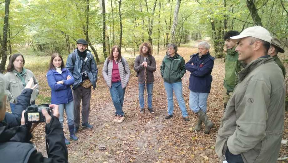 El proyecto apuntar a lograr acuerdos territoriales para gestionar los bosques. Foto: gentileza