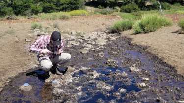 En Bariloche usan hongos para favorecer la biorremediación de áreas hidrocarburíferas