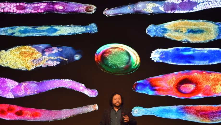 Brandon obtuvo reconocimientos internacionales por las fotos científicas. Foto: gentileza