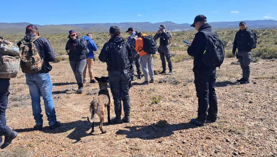 Se sumaron perros que buscan restos humanos. Foto: gentileza