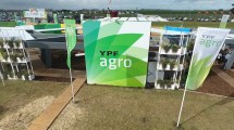 Imagen de Detrás de un socio: YPF tienta a grandes empresas para su negocio de agro