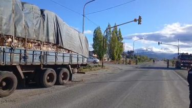 Un niño de 9 años en terapia intensiva luego de  ser chocado por un camión sobre la Ruta 40, en Dina Huapi