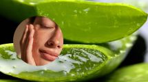Imagen de Aloe vera en la cara: cómo usar el gel natural para hidratar, desinflamar y rejuvenecer la piel