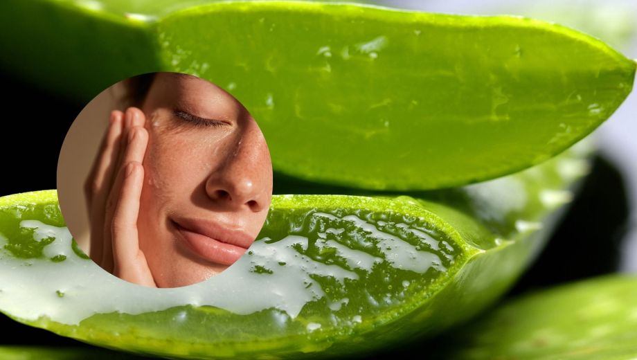 Incorporar el aloe vera al cuidado facial no requiere grandes gastos ni complicaciones.