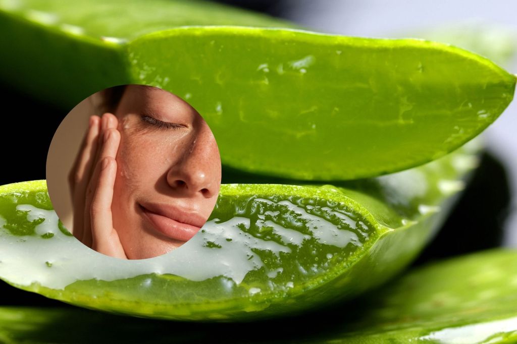 runika aloe vera Rahua Aloe Vera Shampoo