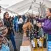 Imagen de Bariloche y su agenda de eventos: 9 propuestas culturales, deportivas y gastronómicas hasta fin de año
