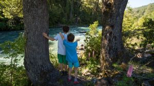 Verano y primavera en El Bolsón: senderos, refugios, pesca y festivales para vivir la Comarca Andina