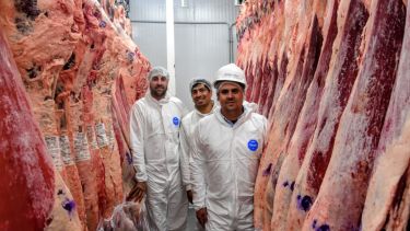 El sueño de dos amigos que se hizo empresa y hoy abastece de carne a las grandes cadenas de Neuquén