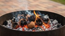 Imagen de Por qué hay que poner cáscaras de nuez en las brasas del asado: los beneficios que seguro no sabías 