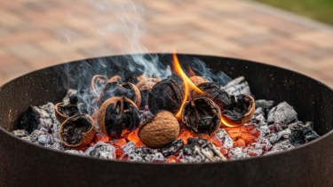 Por qué hay que poner cáscaras de nuez en las brasas del asado: los beneficios que seguro no sabías 