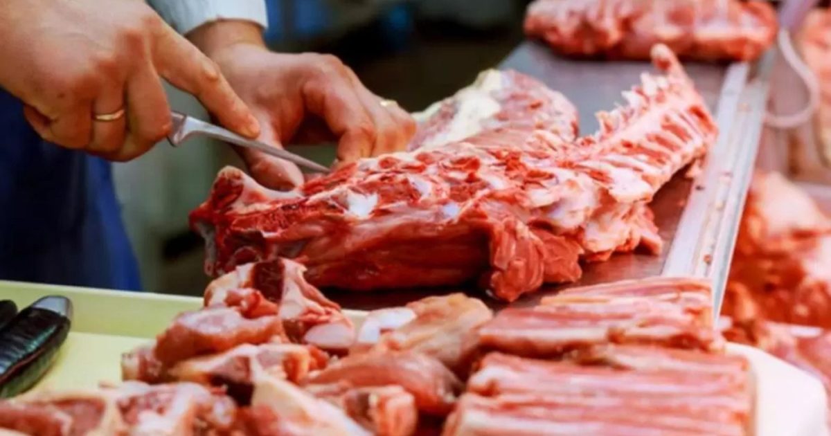 * Source Material: News about the EU banning Brazilian meat due to antimicrobial resistance rules, impacting the Mercosur-EU agreement.