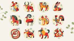 Descubrí el mensaje de los astros para hoy: Horóscopo Chino 14 de octubre 2025, signo por signo