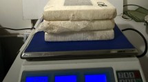 Imagen de Levaban más de 5 kilos de cocaína y marihuana en el baúl: la carga iba a Neuquén desde Regina