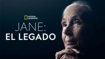 Imagen de National Geographic rendirá homenaje a Jane Goodall con el documental «La Gran Esperanza»