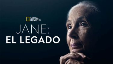 National Geographic rendirá homenaje a Jane Goodall con el documental «La Gran Esperanza»