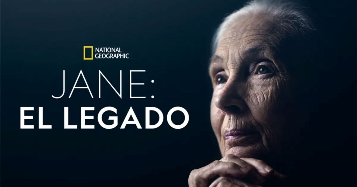 National Geographic rendirá homenaje a Jane Goodall con el documental ...
