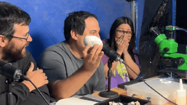 Video | Increíble hallazgo de CONICET cerca de Roca: encuentran el huevo fósil mejor conservado del mundo
