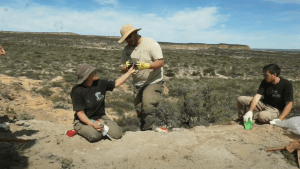 Increíbles hallazgos y pistas de un dinosaurio saurópodo en el tercer día de la expedición del Conicet cerca de Roca