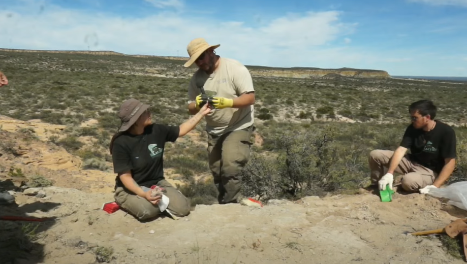Investigadores del Conicet transmiten en vivo sus descubrimientos a más de 2500 personas. Foto: Captura. 