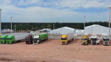 Habilitado para recibir carne, el depósito fiscal de Centenario gestiona vuelos de carga al exterior