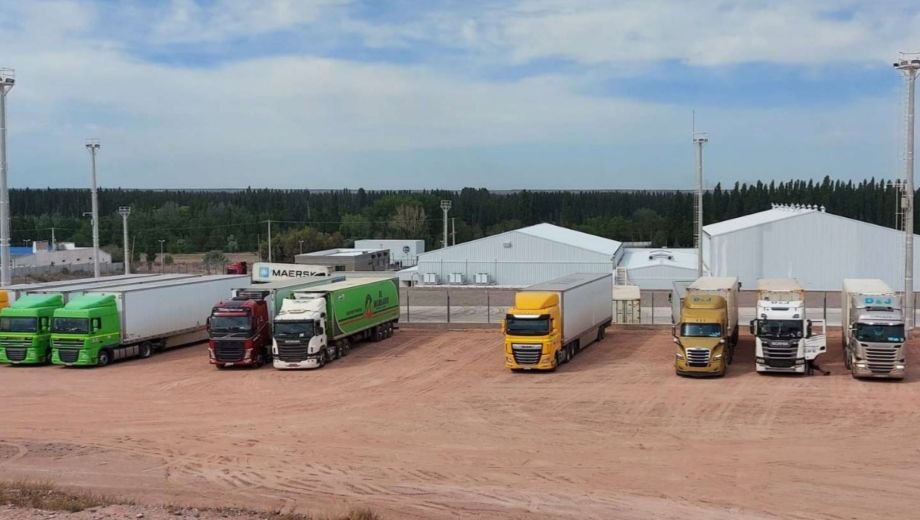 El depósito fiscal de Centenario, a 10 kilómetros de Neuquén capital. Foto: gentileza Senasa. 