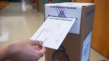 Elecciones 2025: la Cámara Electoral exigió al Gobierno publicar resultados por provincia y frenó unificación nacional