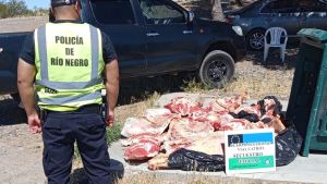 Secuestraron 1000 kilos de carne en Catriel por mal estado, traslado irregular y faena clandestina