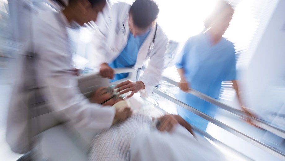 Patagonia también enfrenta riesgos sanitarios por olas de calor