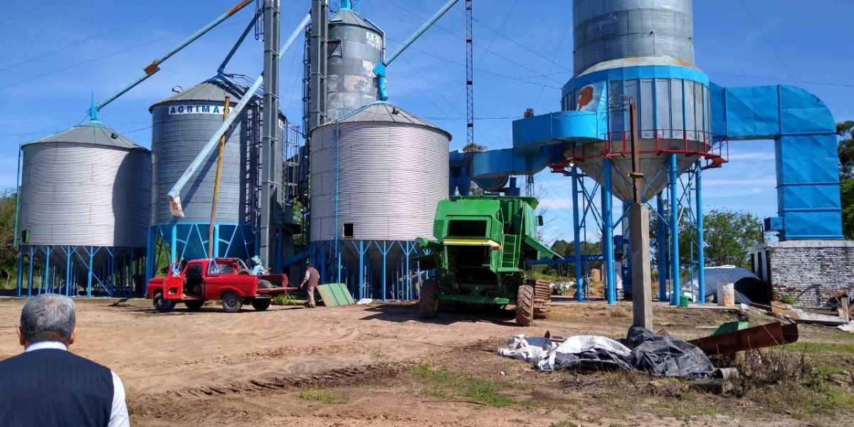 Arrocera correntina.