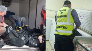 Desde carne hasta fruta: secuestraron más de 700 kilos de comida en Cipolletti por «irregularidades sanitarias»
