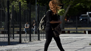 Calor, viento e inestabilidad en Neuquén y Río Negro este sábado: esperan fuertes ráfagas en el Alto Valle