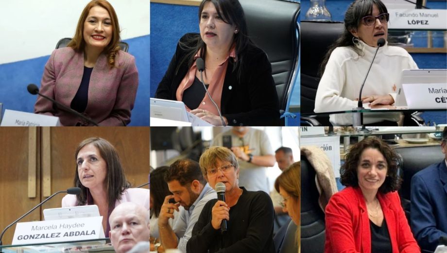 El proyecto prevé la creación de una partida específica dentro del presupuesto del Ministerio de Salud Pública.