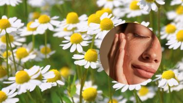 Manzanilla en la piel: cómo usar esta planta natural para aliviar y rejuvenecer el rostro