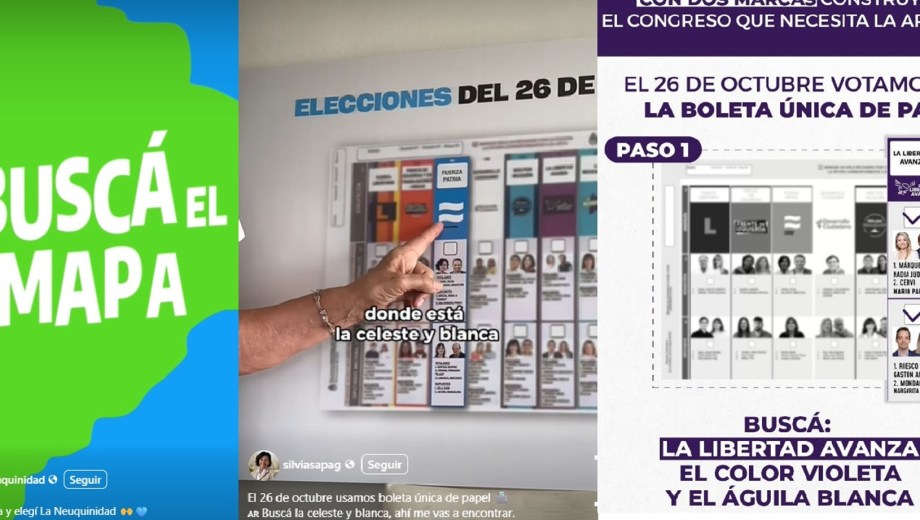 Los partidos de Neuquén buscan identificarse con sus símbolos y colores. 