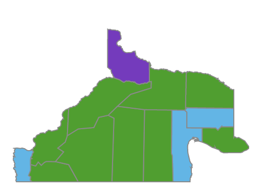 El mapa de los resultados en Río Negro en categoría senadores, por departamento electoral. 