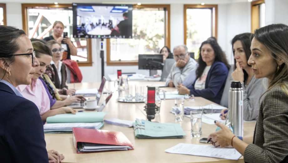 Belén Campos en la entrevista de la comisión de Legislación durante el concurso por la secretaría 1 del juzgado 1 de Faltas (foto Cecilia Maletti)