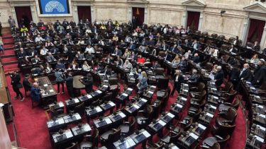 La oposición busca quitarle poder a Javier Milei: sesión en Diputados por los DNU y remoción de José Luis Espert