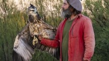 Imagen de Águila coronada: desafíos y avances en la conservación de una especie en peligro en la Patagonia