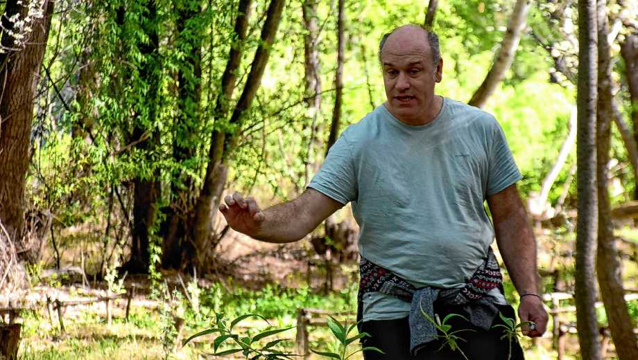 El Jardín Botánico de Plottier es un lugar recreativo, pero también educativo y científico. Foto: Matías Subat