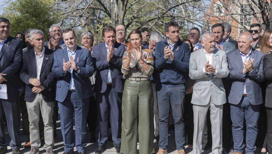 El ministro Thalasellis, el legislador López, Weretilneck, la secretaria Confini (Energía). Foto Gentileza