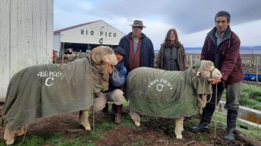 La estancia de Chubut que nació en 1930 y es muy fuerte en la producción de ganado ovino y lana fina