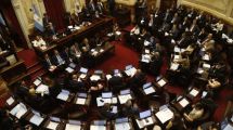 Imagen de El Senado sesionará este jueves y la oposición se encamina a revertir los vetos de Javier Milei sobre universidades y Garrahan