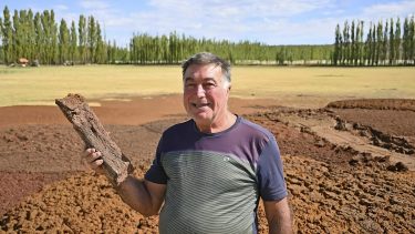 Hace leña y aserrín con frutas en Neuquén y provoca admiración en todo el mundo