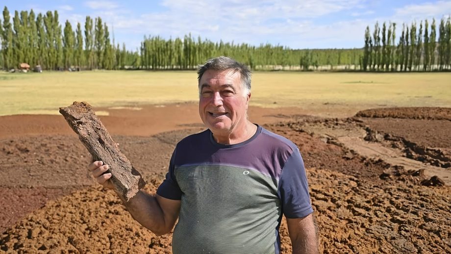 Economía circular de la mano de la fruticultura en la Patagonia. Foto: archivo Florencia Salto.