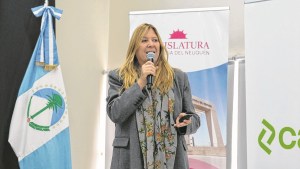 La evolución de las reglas ambientales en el país