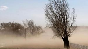 Alerta en la Patagonia por lluvias, vientos y ráfagas  de 90 km/h este jueves: las zonas  afectadas