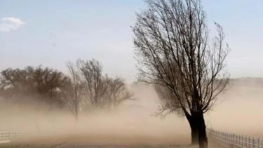 Alerta en la Patagonia por viento, nieve, lluvias y ráfagas de 120 km/h: qué sucede en Neuquén y Río Negro este miércoles
