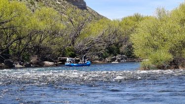 Las truchas brillan en el Chimehuin de Junín de los Andes: pesca, ríos mágicos y tradición