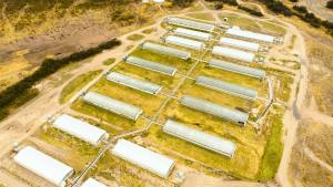 Este sector del agro tiene un 2025 brillante: «Nuestro margen sobre ventas supera el 45%»